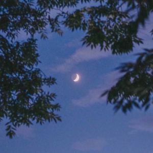 中国按摩強奸片
